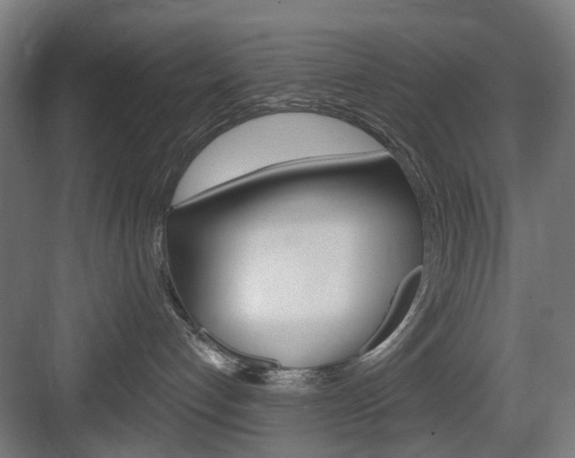 X0000083990192200702160740
