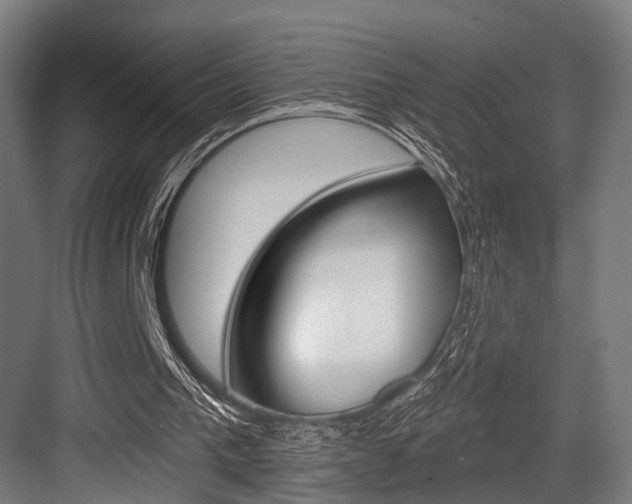 X0000083990193200702160739