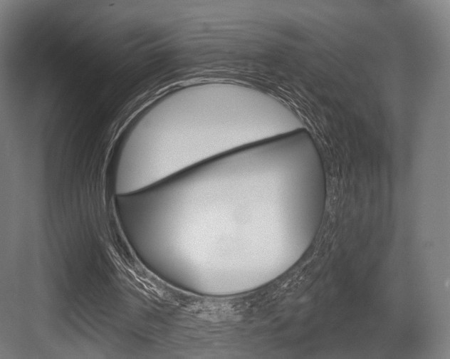 X0000083990194200702160739
