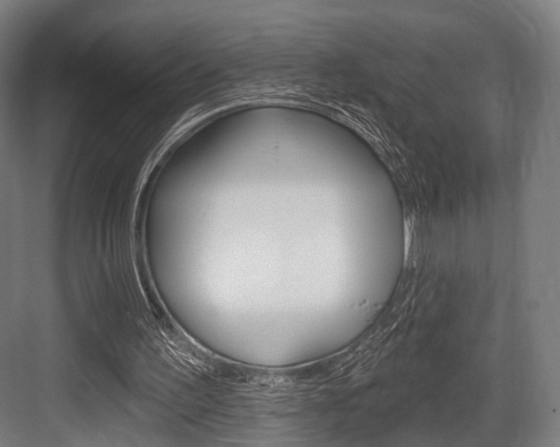 X0000083990195200702160739