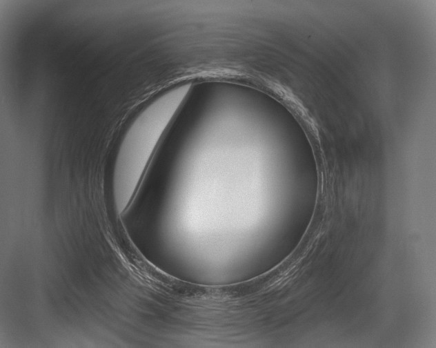 X0000083990201200702160739