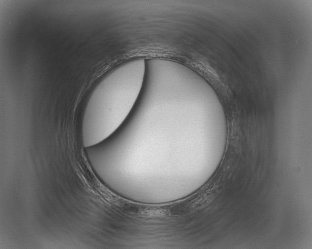X0000083990202200702160739