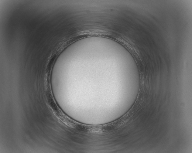 X0000083990206200702160739