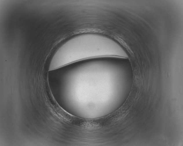 X0000083990207200702160739