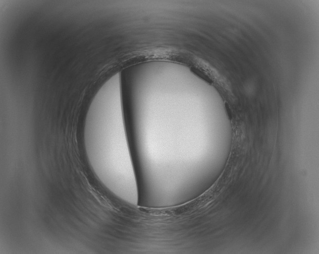 X0000083990209200702160739