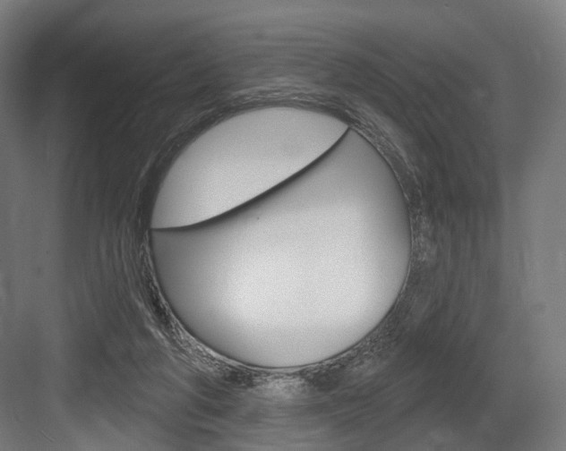 X0000083990210200702160739
