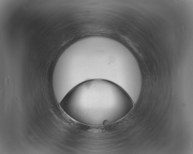 X0000083990211200702160739