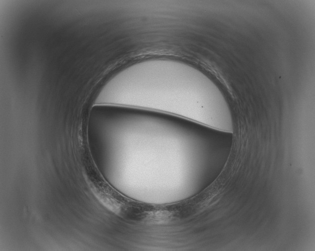 X0000083990212200702160739