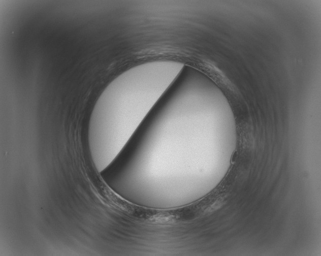 X0000083990213200702160739