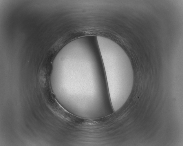 X0000083990215200702160739