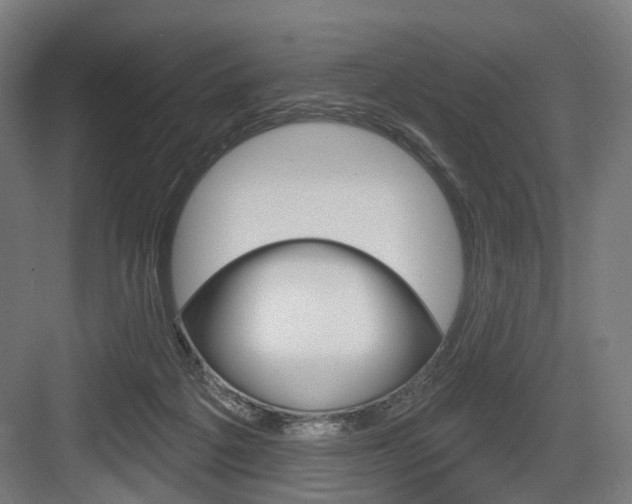X0000083990217200702160739