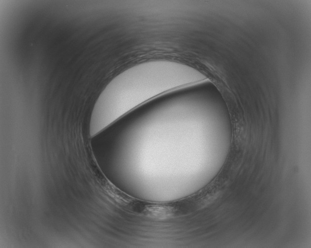 X0000083990221200702160739