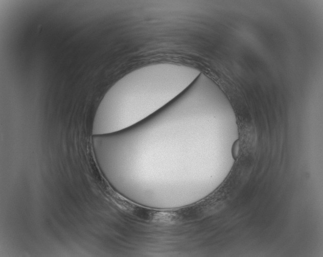X0000083990222200702160739