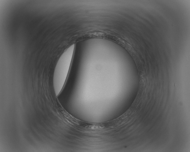 X0000083990223200702160739