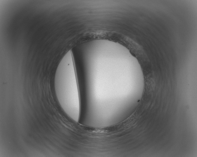 X0000083990225200702160739