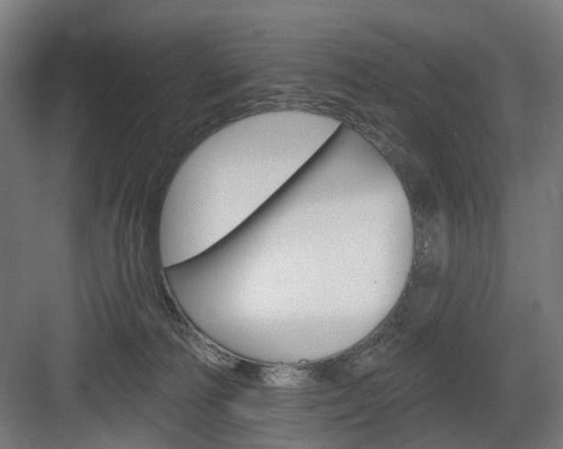 X0000083990226200702160739