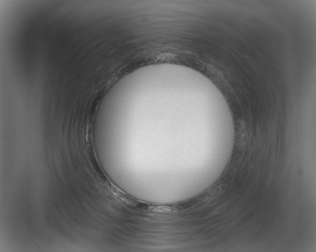 X0000083990230200702160739