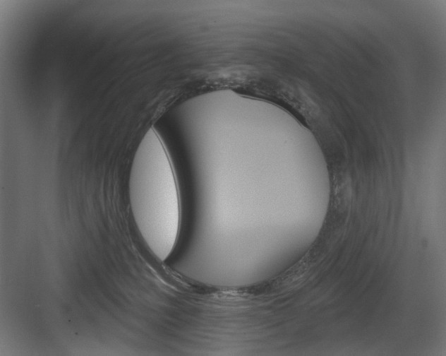 X0000083990231200702160739