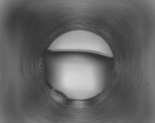 X0000083990233200702160739