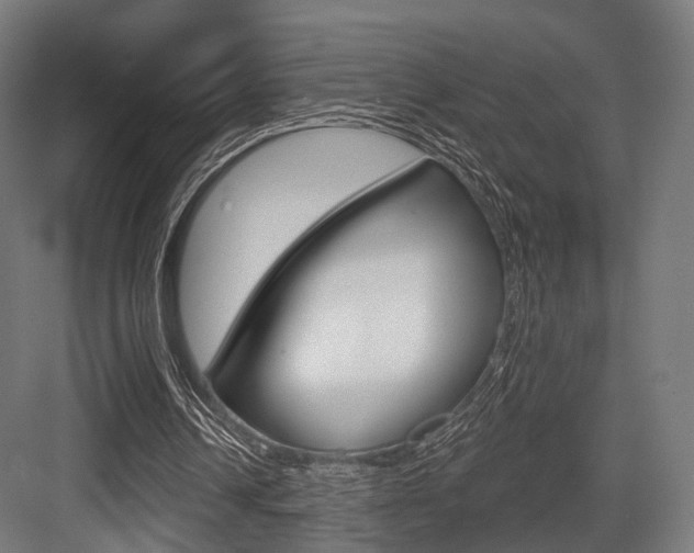 X0000083990242200702160738