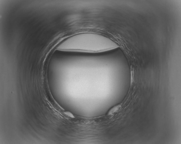 X0000083990243200702160738