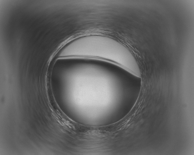 X0000083990244200702160738