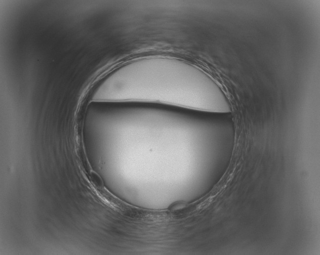 X0000083990245200702160738