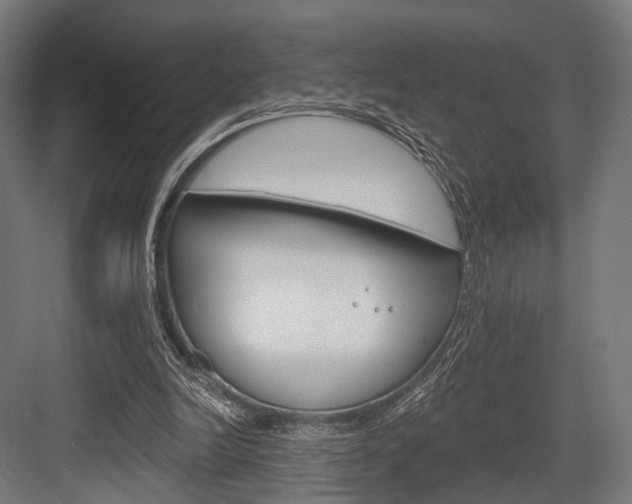 X0000083990246200702160738