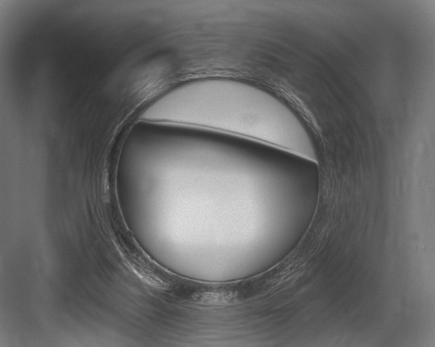 X0000083990251200702160738