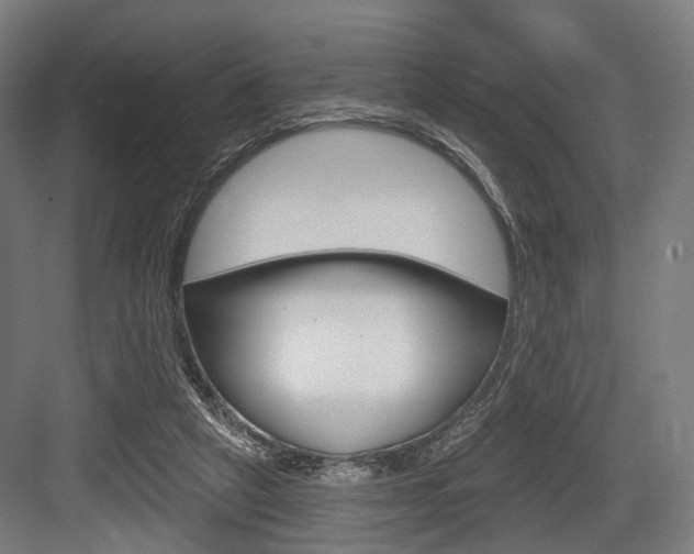 X0000083990257200702160738