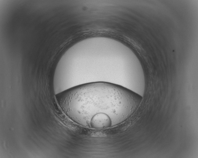 X0000083990258200702160738