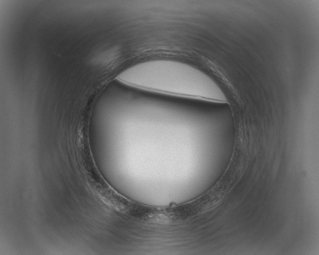 X0000083990259200702160738