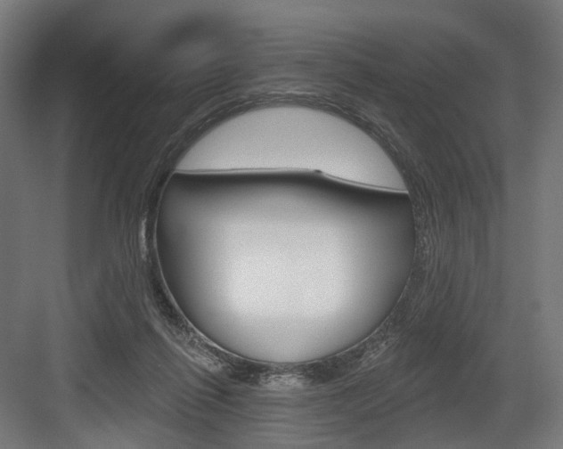X0000083990262200702160738
