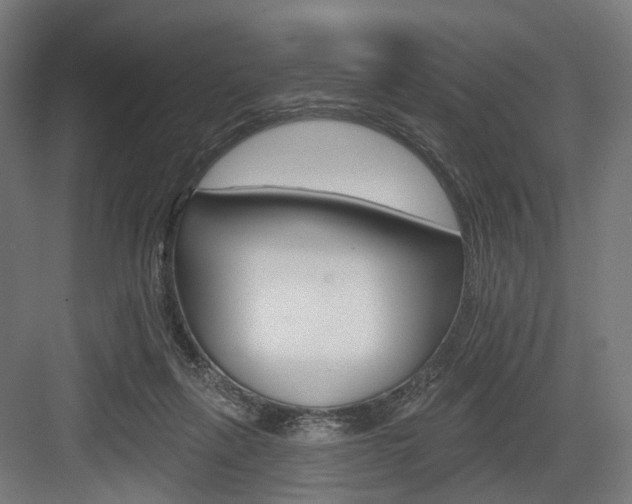 X0000083990263200702160738