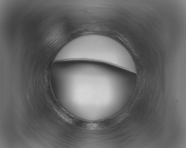 X0000083990265200702160738