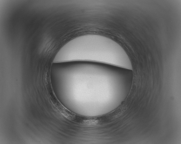 X0000083990266200702160738