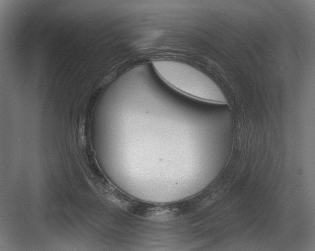 X0000083990267200702160738