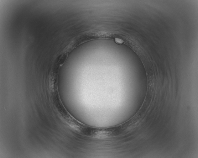 X0000083990268200702160738