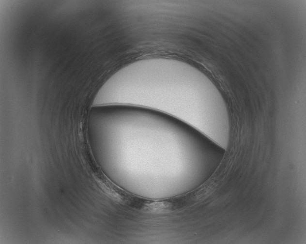 X0000083990269200702160738