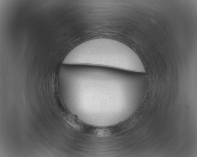 X0000083990275200702160738