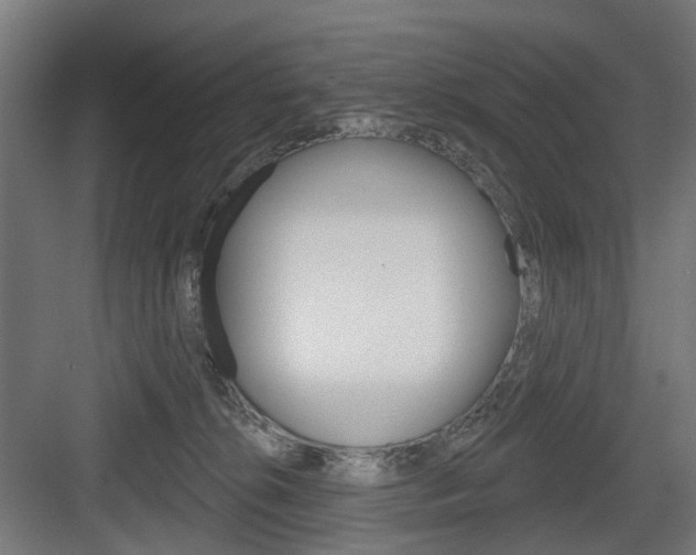 X0000083990276200702160738