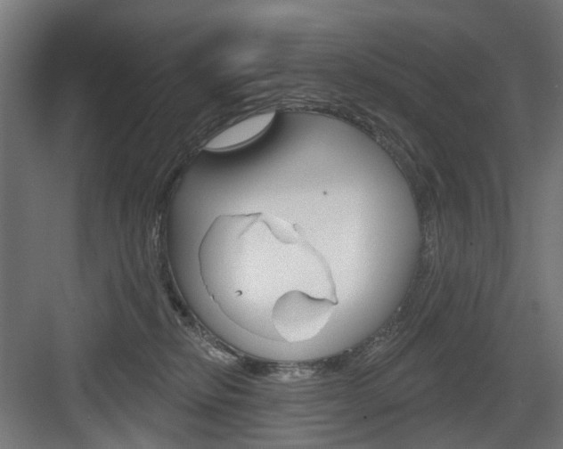 X0000083990278200702160738