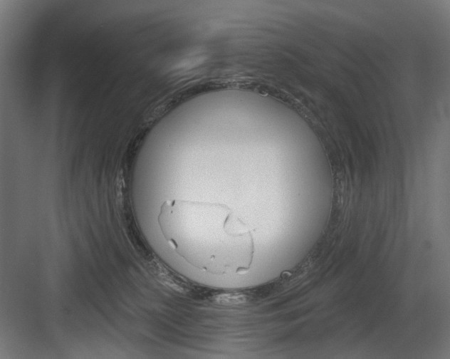 X0000083990279200702160738