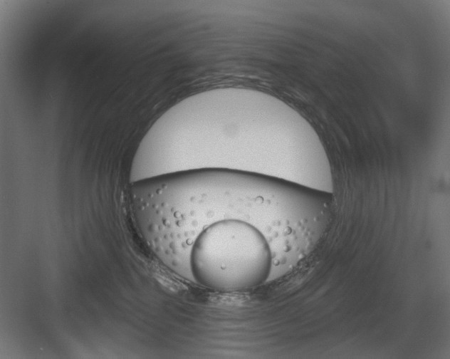 X0000083990282200702160738