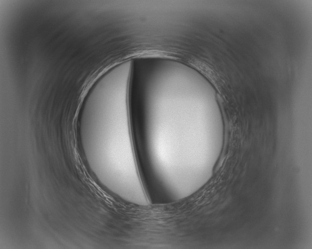 X0000083990289200702160738