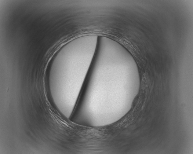 X0000083990290200702160738