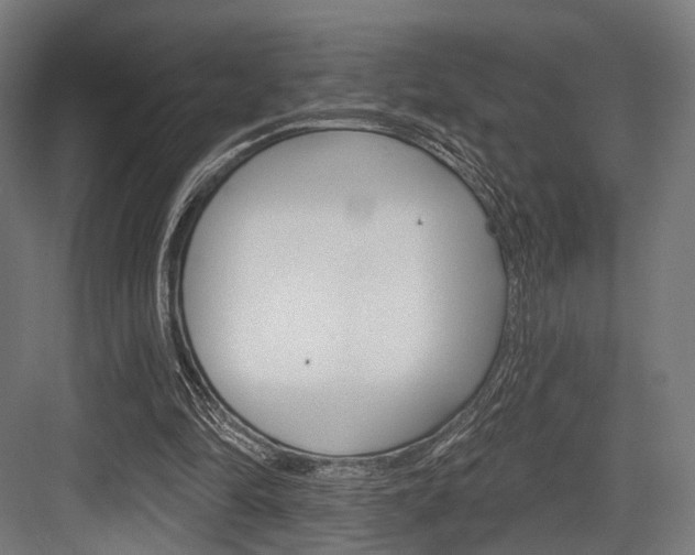 X0000083990294200702160738