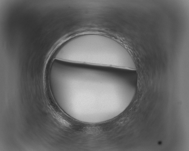 X0000083990296200702160738