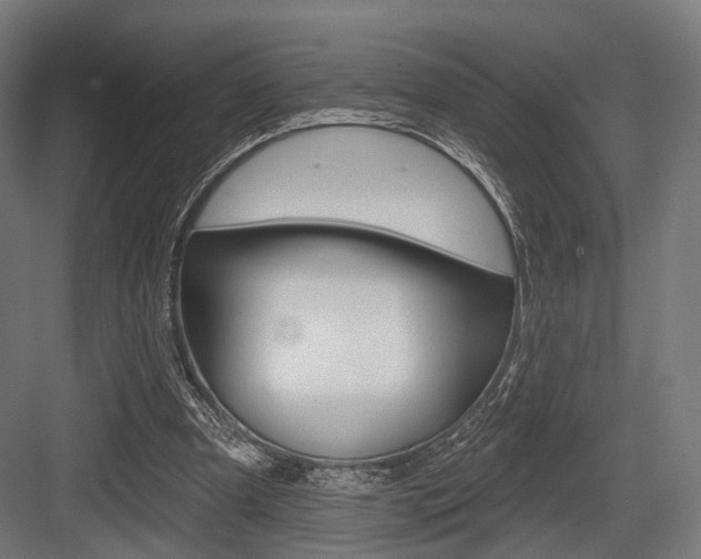 X0000083990297200702160738