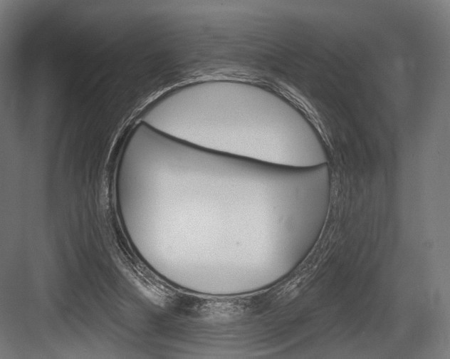 X0000083990298200702160738